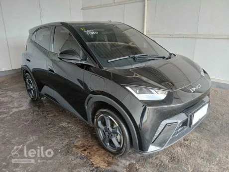 LOTE 020 - BYD/DOLPHIN MINI GS EV (4P)
